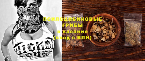 метадон Алексин