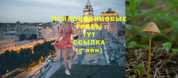 спиды Абаза