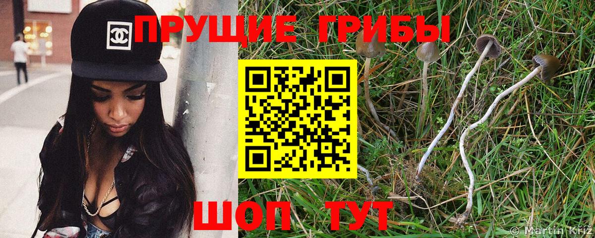 Галлюциногенные грибы GOLDEN TEACHER  Вход с VPN  Советский 
